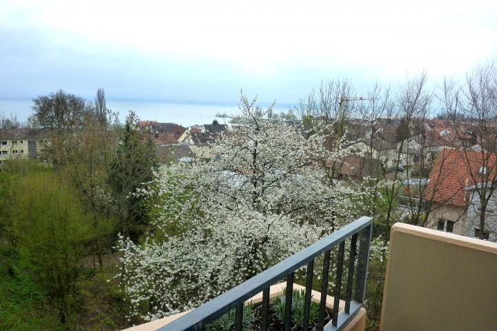 Blick vom Balkon