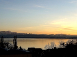 Abendstimmung  - mit Blick auf den Säntis