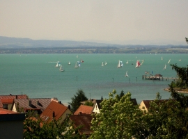 Segelregatta an der Schiffslandestelle  