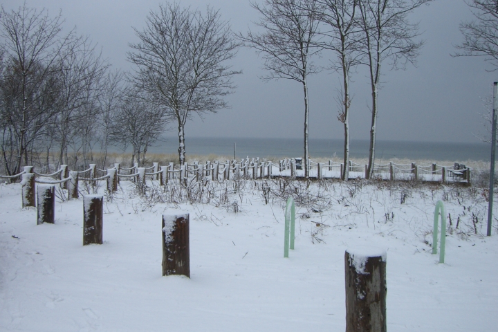 Winter in den Dünen