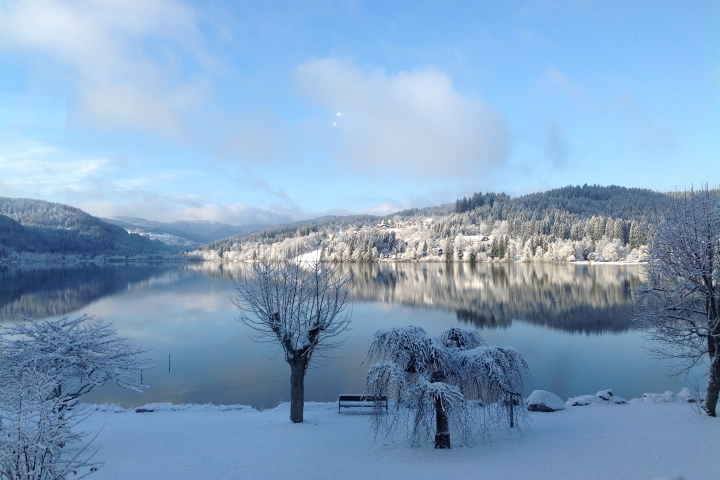 Winter am Titisee.