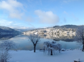Winter am Titisee.