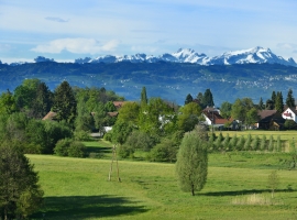 Landhaus Objekt 1 FEwo B
