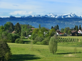 Landhaus Objekt 1 FEwo B