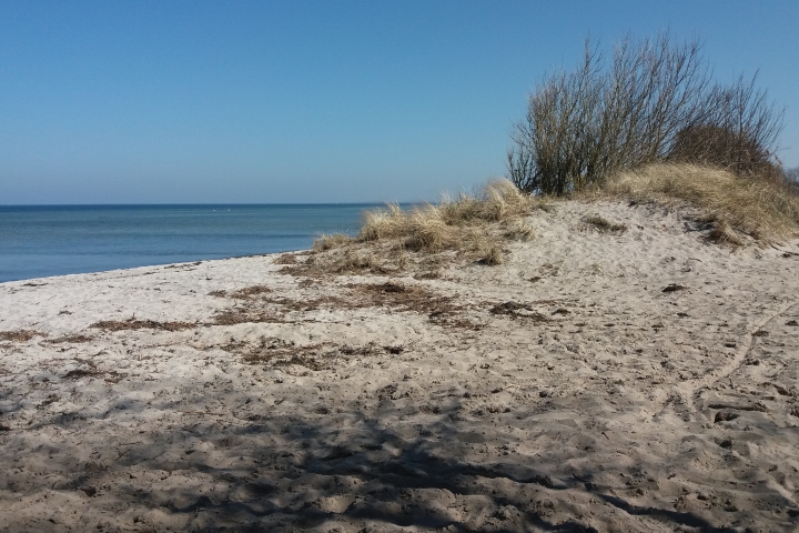 Frühling 2018