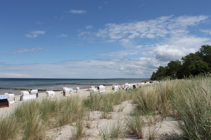 Strand am Schwarzen Busch