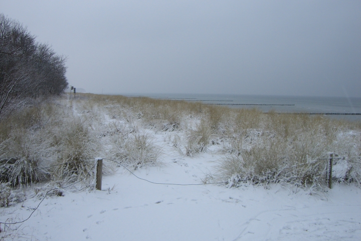 Dünen im Winter