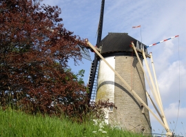 Foto 22
