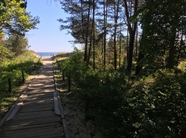 Foto 17