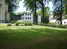 Foto 15