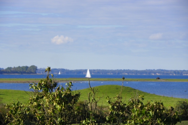 Blick vom Balkon