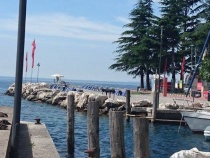 Foto 11