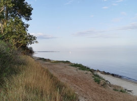 Foto 16