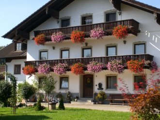 Haflingerhof Goisöckl Haflingerhof Goisöckl
