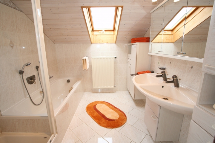 Bad mit Dusche und Badewanne. WC seperat.