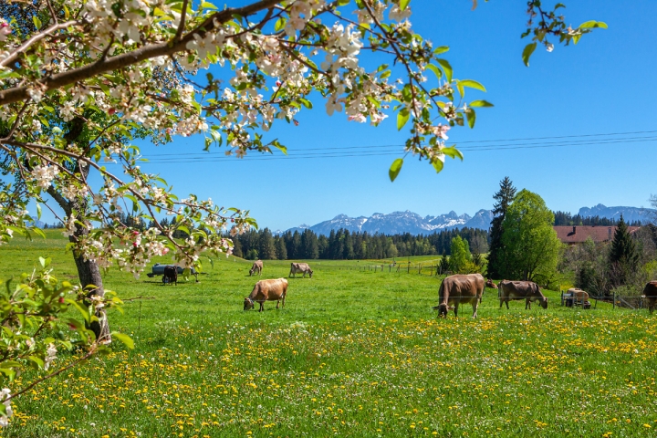 Ausblick von unserem Hof