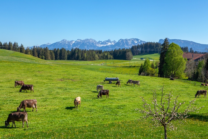 Ausblick von Ihrem Balkon
