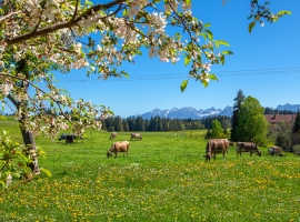 Ausblick von unserem Hof