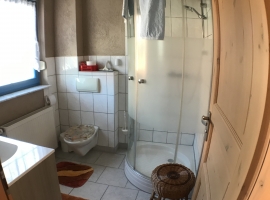 Badezimmer mit Dusche (untere Etage)