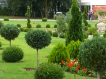 Foto 13