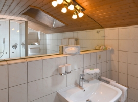 Kurpark - geräumiges Bad mit Dachfenster, ideal für eine Familie