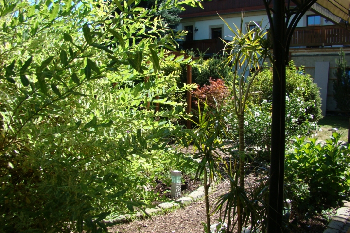 Kleiner Gartenweg