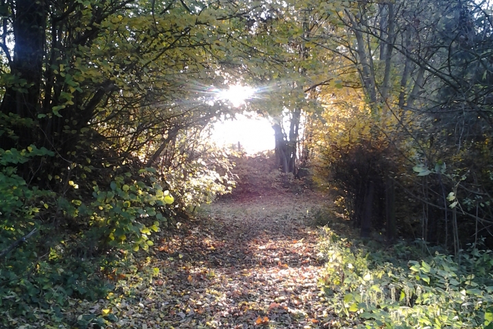 wandern in der näheren Umgebung