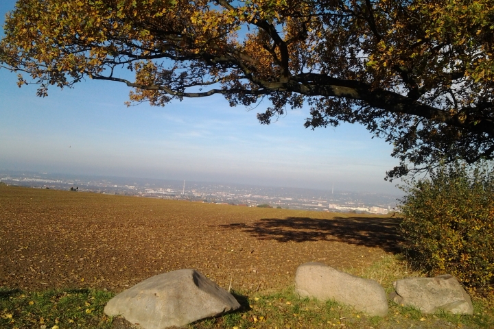 wandern zur Babisnauer Pappel mit Blick über Dresden