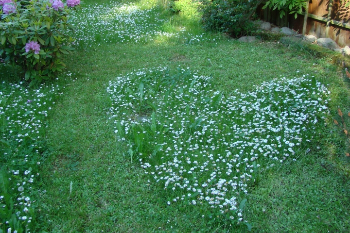 ... mit viel Herz