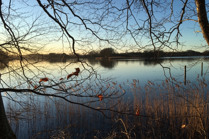 Morgenstimmung an der Schlei
