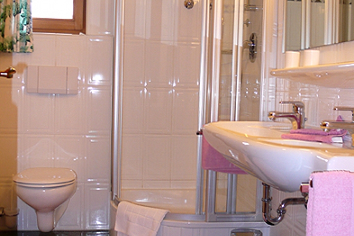 KREUZECK - Wohnung Kreuzeck - Modernes Bad mit Duschkabine, Waschbecken und WC. Fön.