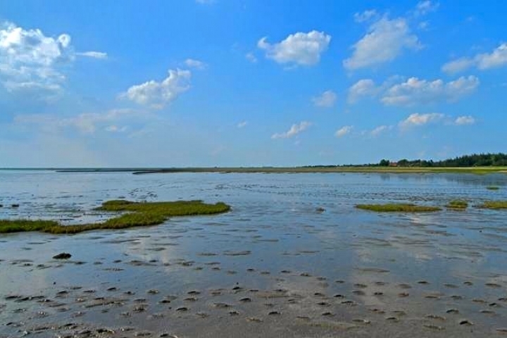 .. Schobüll Küste bei Ebbe
