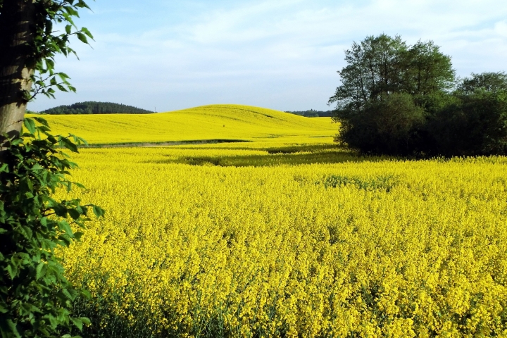 Mecklenburg im Mai