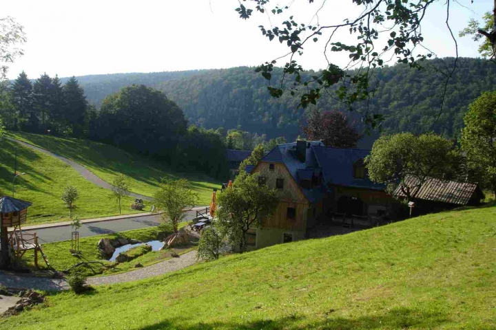 Die Bergwiese am Haus mit Bitterbach und Wald,Wald und Wald