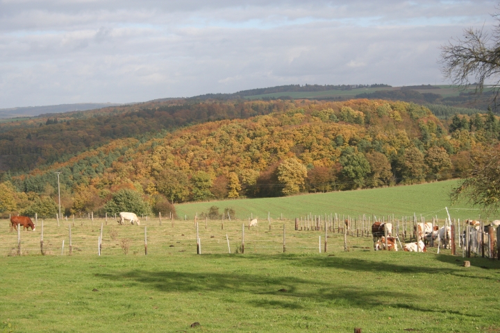 Blick aus dem Wohnzimmer über das Baybachtal und den Vorderhunsrück