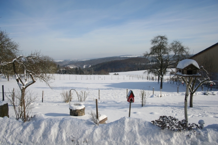 Winter 2010