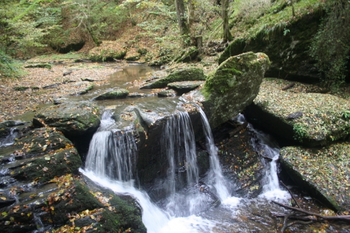 Ehrbachklamm