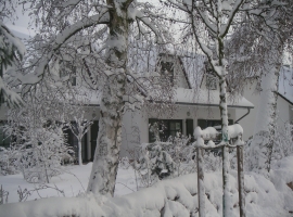 Foto 15