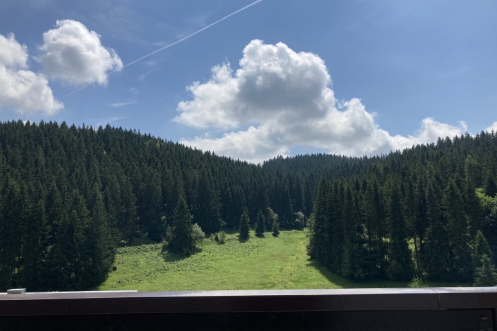 Blick von der Terrasse ins Taubachtal