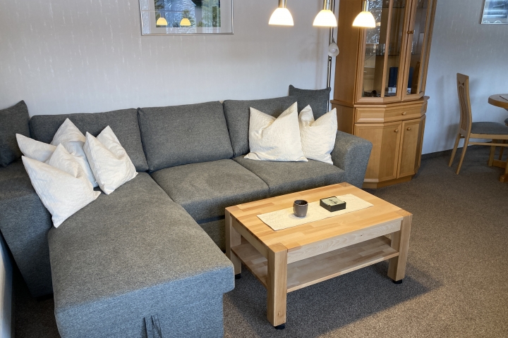 gemütlicher Wohnbereich, Couch auch ausziehbar.