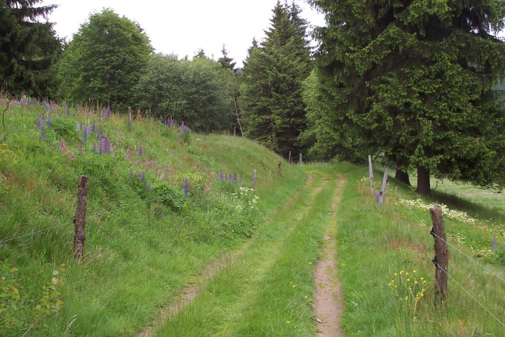 Wanderwege in direkter Hausnähe