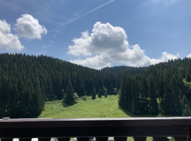 Blick von der Terrasse ins Taubachtal
