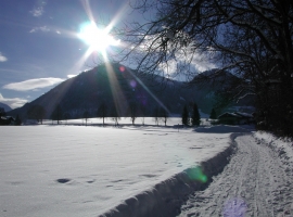 Schöne Wanderwege zum Unternberg 