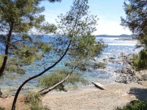 Foto 8