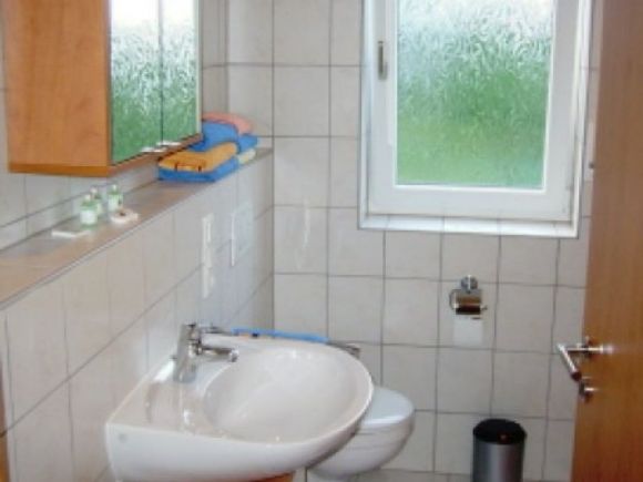 Das Bad hat eine Dusche (keine Stufe)
Fön, Handtücher, Fußbodenheizung  und
Handtuchheizung