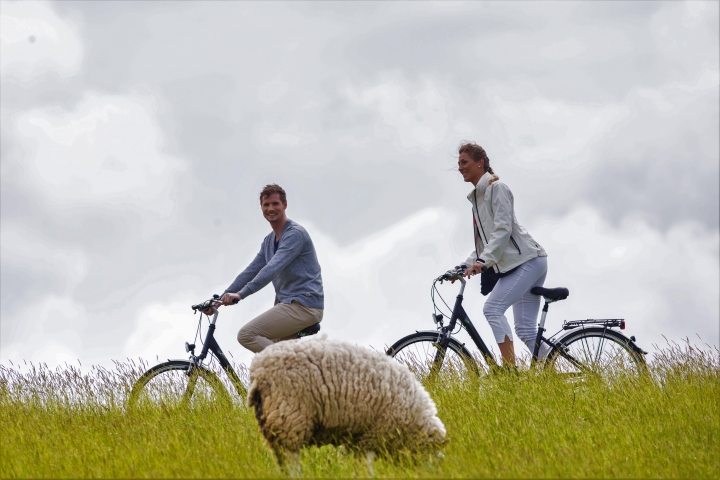 Vermietung von E-Bikes