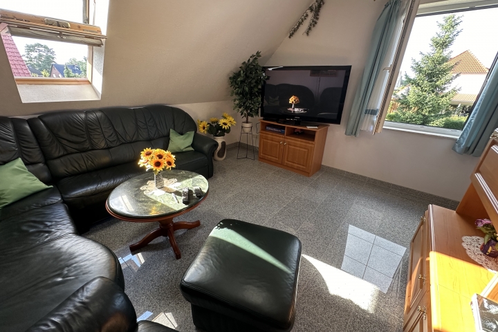 Die ausziehbare Ledercouch ist für die Übernachtung geeignet. Das Velux-Fenster lässt sich verdunkeln. Ein 50 Zoll Fernseher ergänzt das Wonzimmer