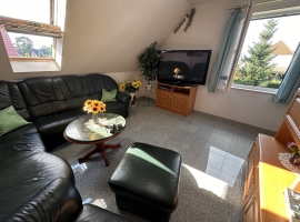 Die ausziehbare Ledercouch ist für die Übernachtung geeignet. Das Velux-Fenster lässt sich verdunkeln. Ein 50 Zoll Fernseher ergänzt das Wonzimmer