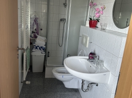 Waschbecken, Dusche, WC und Badheizkörper sorgen für angenehme Bedingungen. Das Warmwasser im Sommer ist 100 %-ig von der Sonne erwärmt.