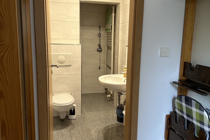 Wingfang mit Garderobe, dahinter das WC, Waschbecken und Dusche (ganz hinten).